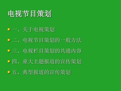 电视节目策划方案 从创意到屏幕的完整指南